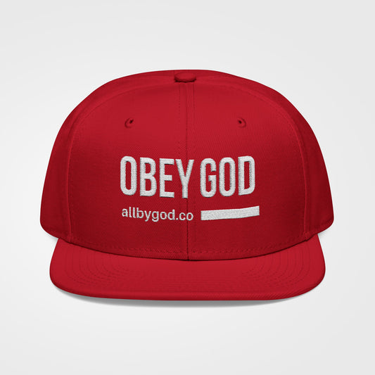Obey God - Embroidered Snapback